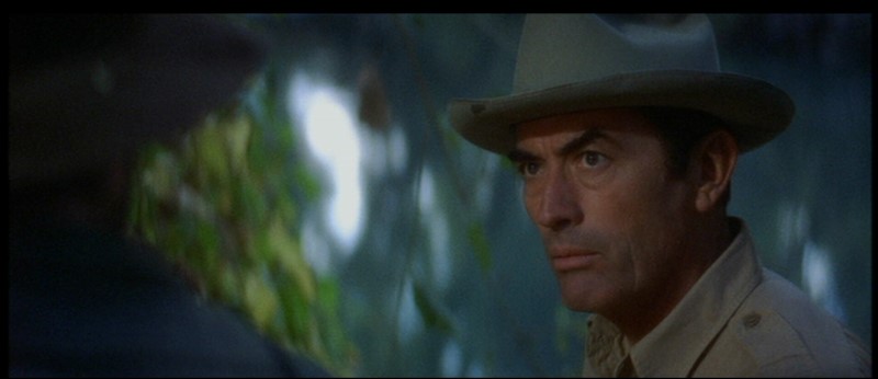 I Walk The Line Movie With Gregory Peck John Frankenheimer I Walk the Line Gregory Peck DVD John Frankenheimer